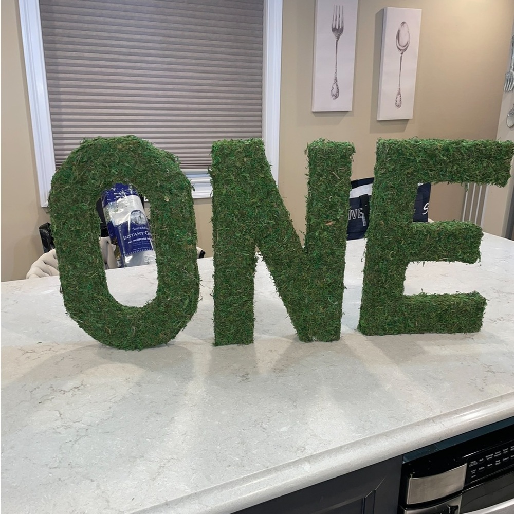 Moss-Covered ONE Decorative Letters - Picture 2 of 4